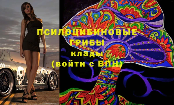 стаф Балахна