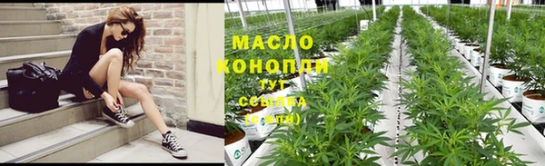 прущая мука Арсеньев