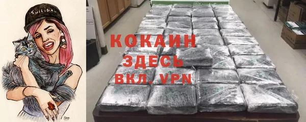 стаф Балахна