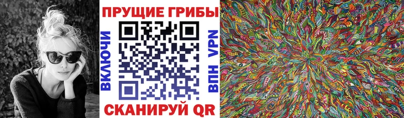 Псилоцибиновые грибы GOLDEN TEACHER  даркнет сайт  Свирск 